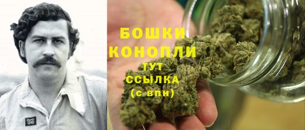 эйфоретик Баксан