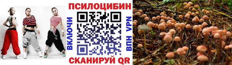 ОМГ ОМГ   Свободный  Галлюциногенные грибы прущие грибы 